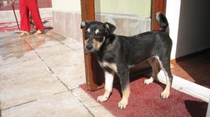 Maya'nın benimle ilg günü...