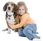 foster-kipper-forever-home