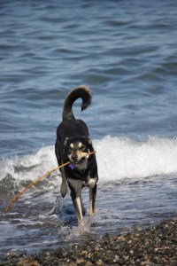 bir enerji atma seansı daha!