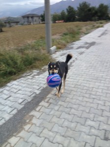 enerji atım seansı!