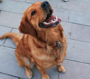 285364_10151084203287706_1839417467_n