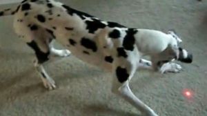 az kalmış takıntılı olmasına!